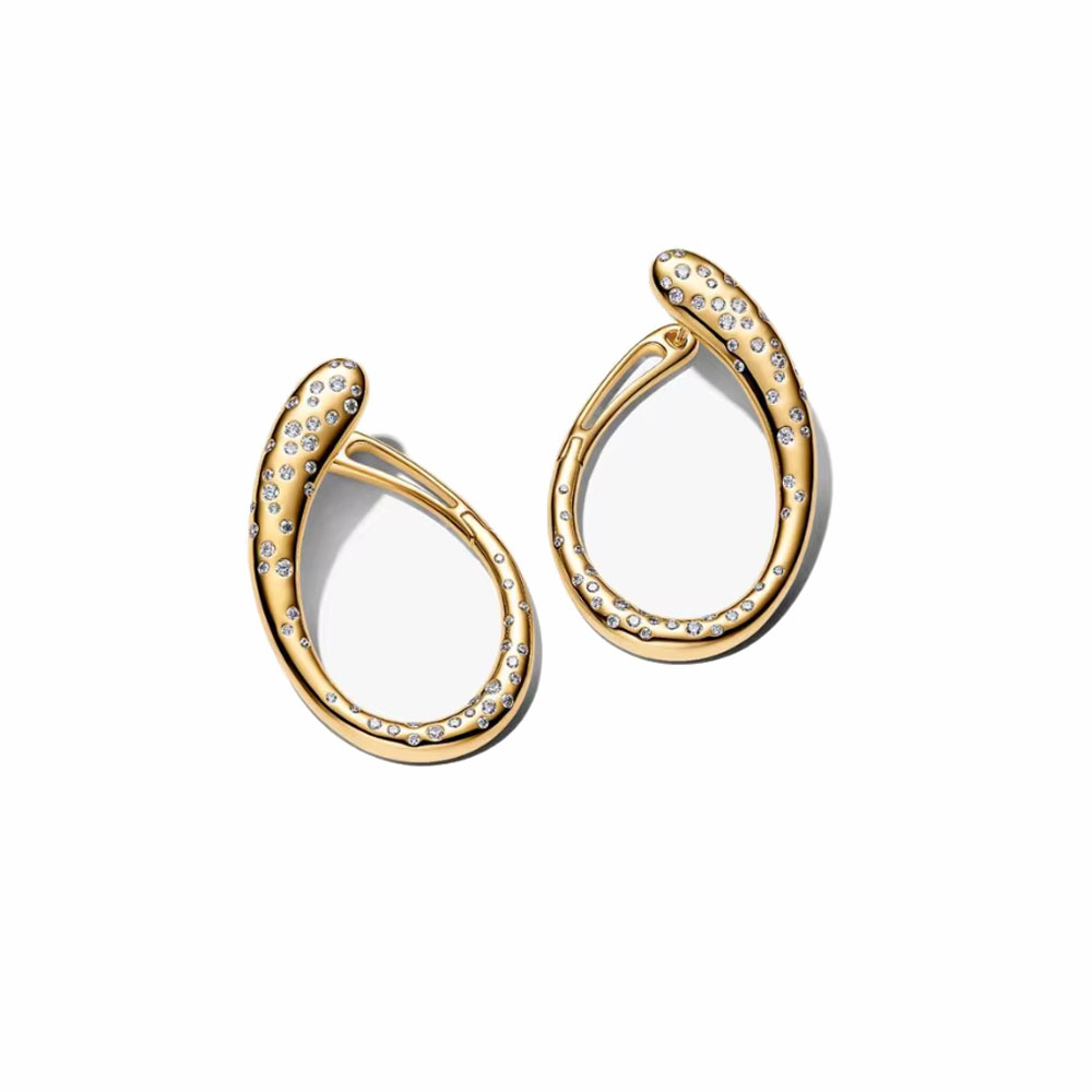 أقراط فضية عيار 925 بتصميم فيو - مراجعة Tie Clip Silver وسعره